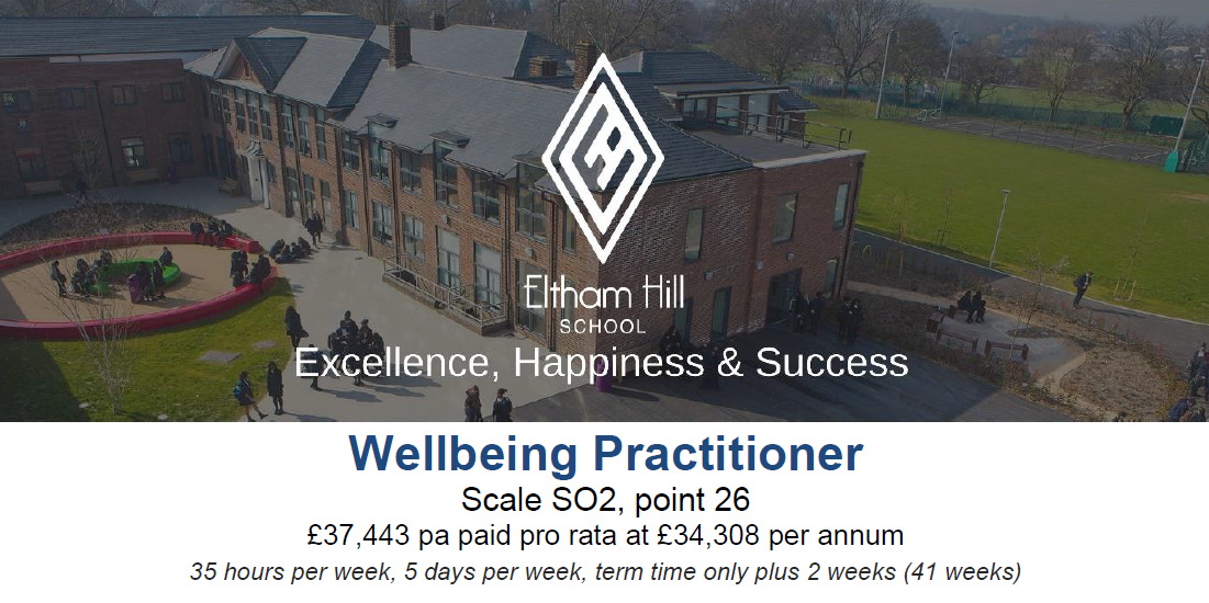 Wellbeing practitioner 24